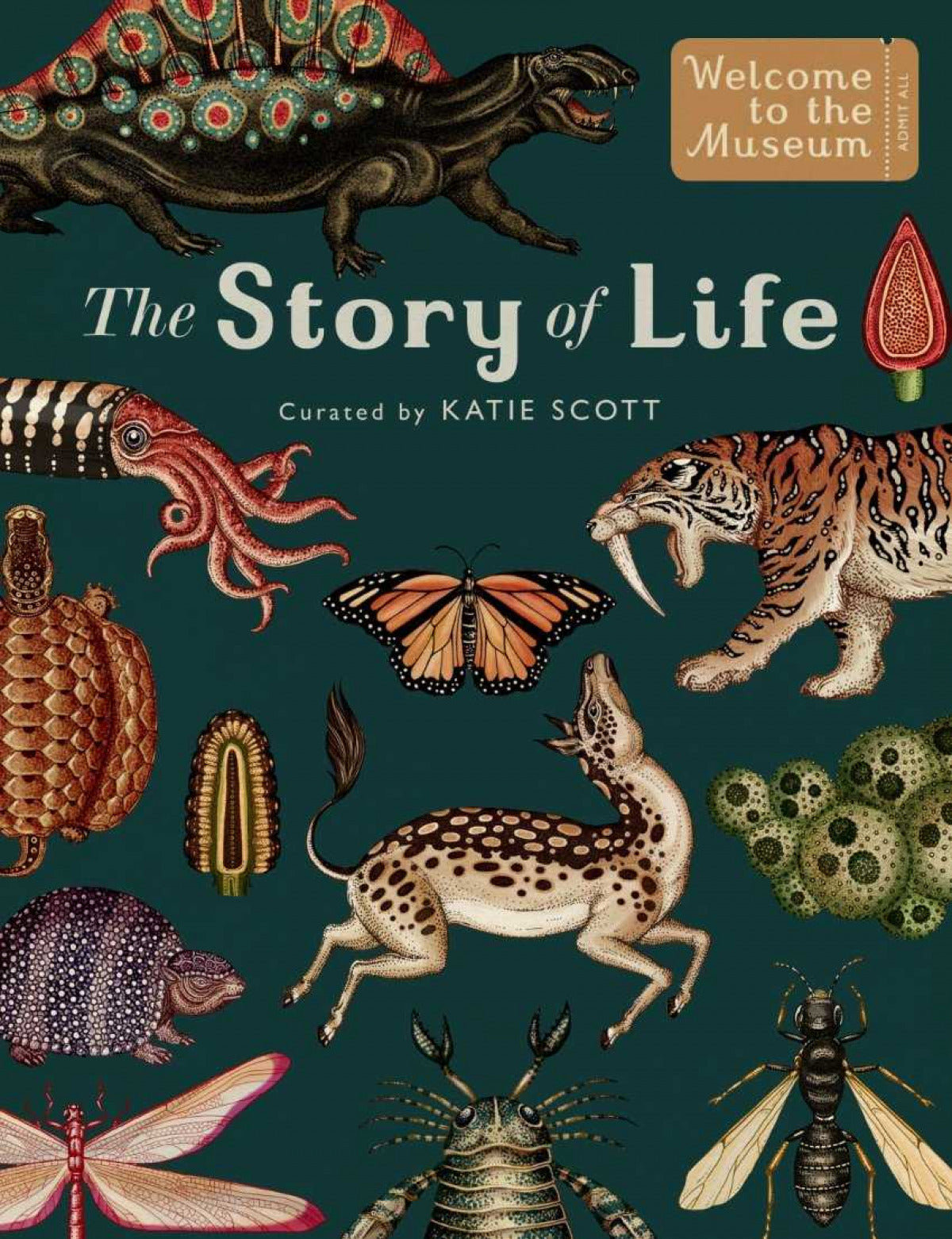 Story of life evolution, The | Scott, Katie Books