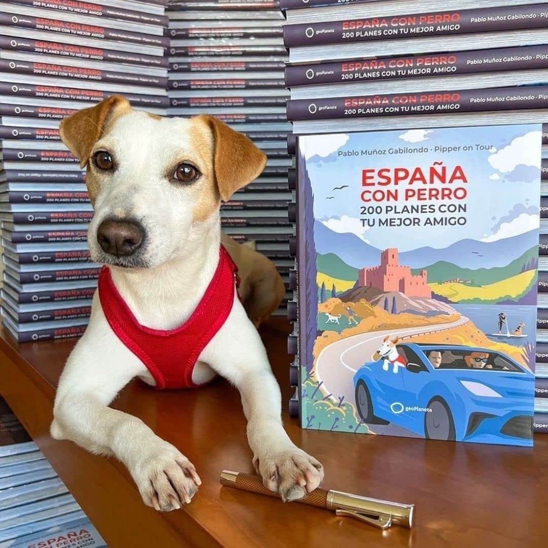 ESPAÑA CON PERRO 200 planes con tu mejor amigo | PABLO MUÑOZ Books