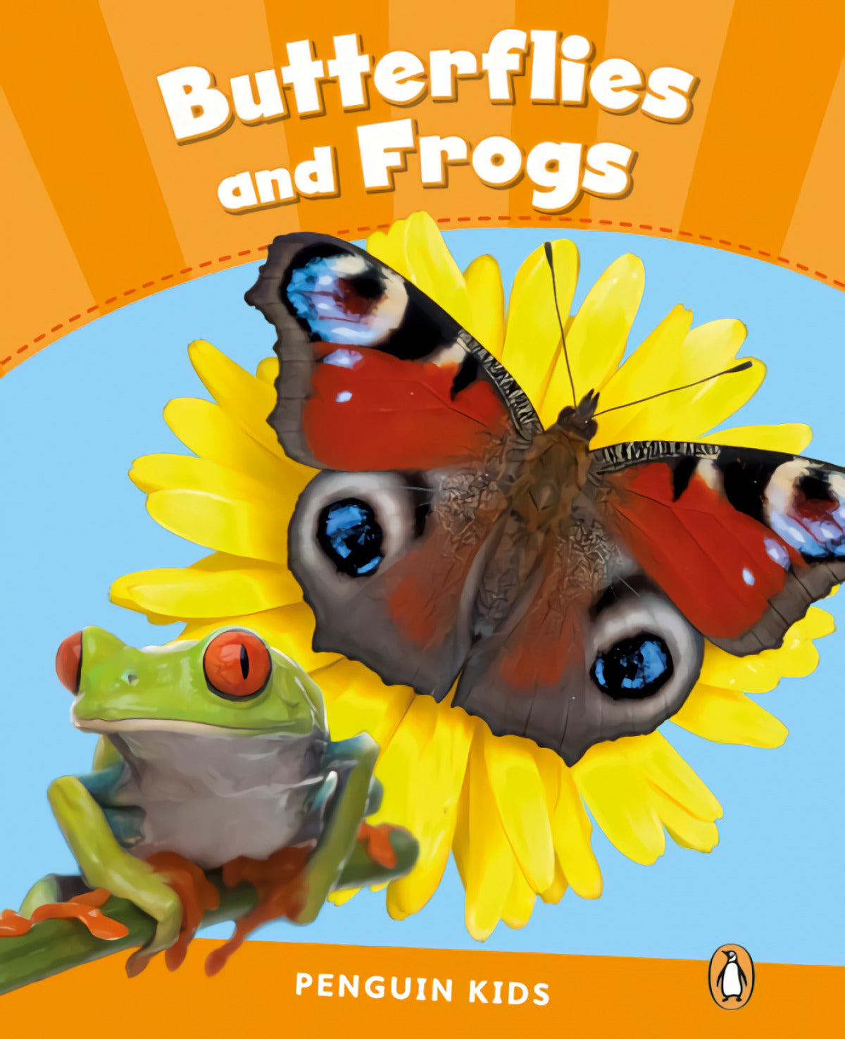 Butterflies and frogs | VV.AA Books