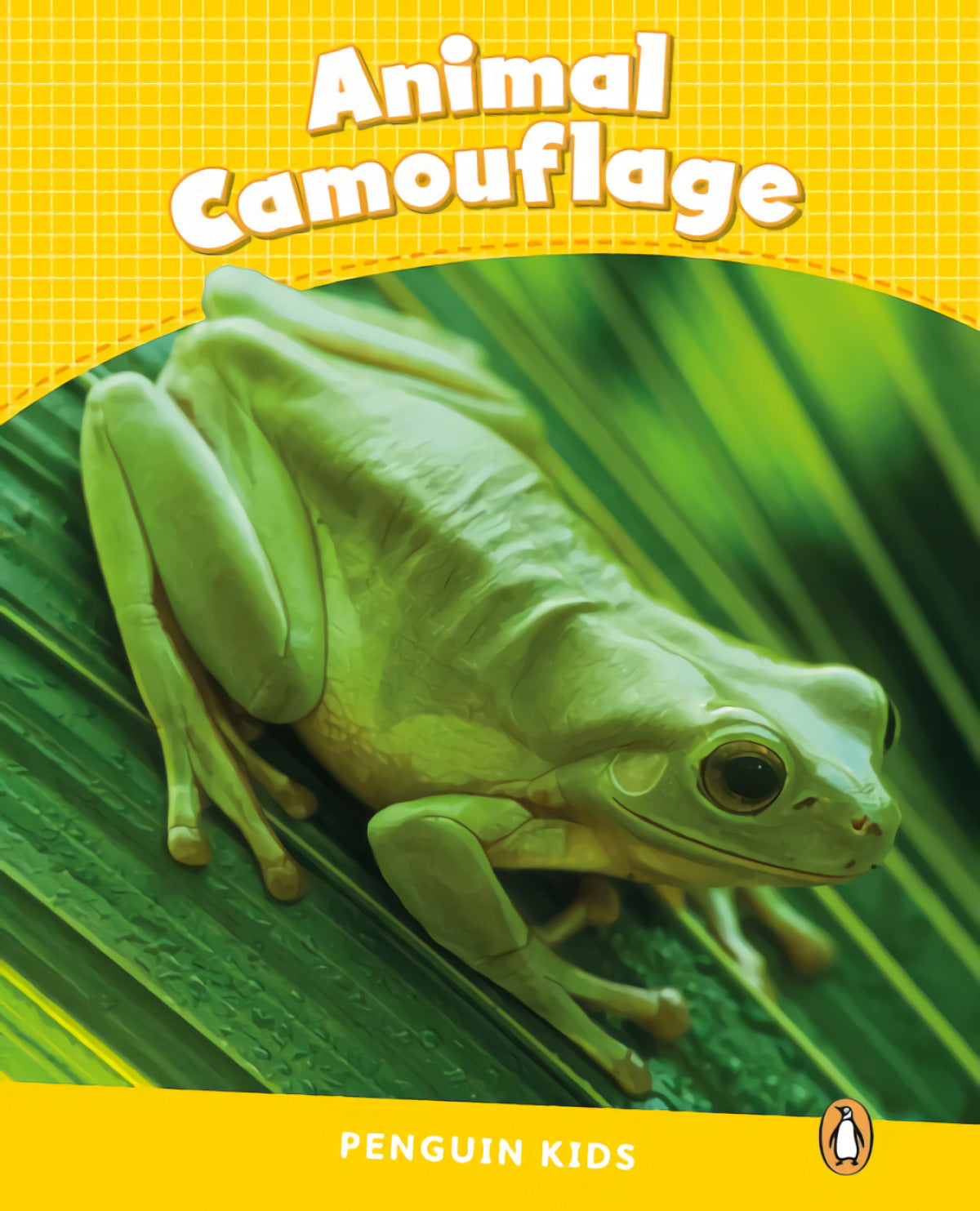 Animal camouflage | Laidlaw, Caroline Books