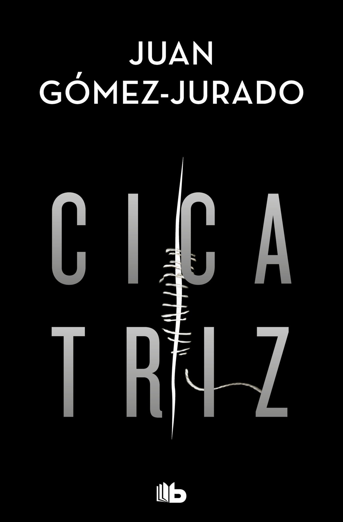 Cicatriz | Gómez-Jurado, Juan Books