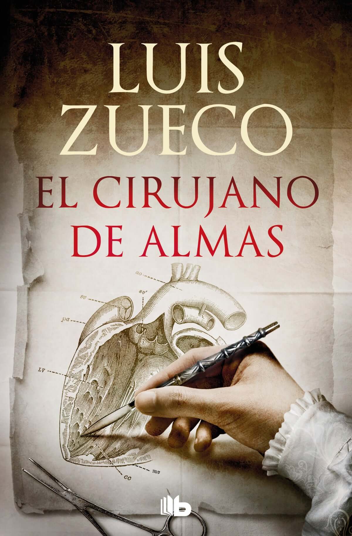 Cirujano de almas, El | Zueco, Luis Books