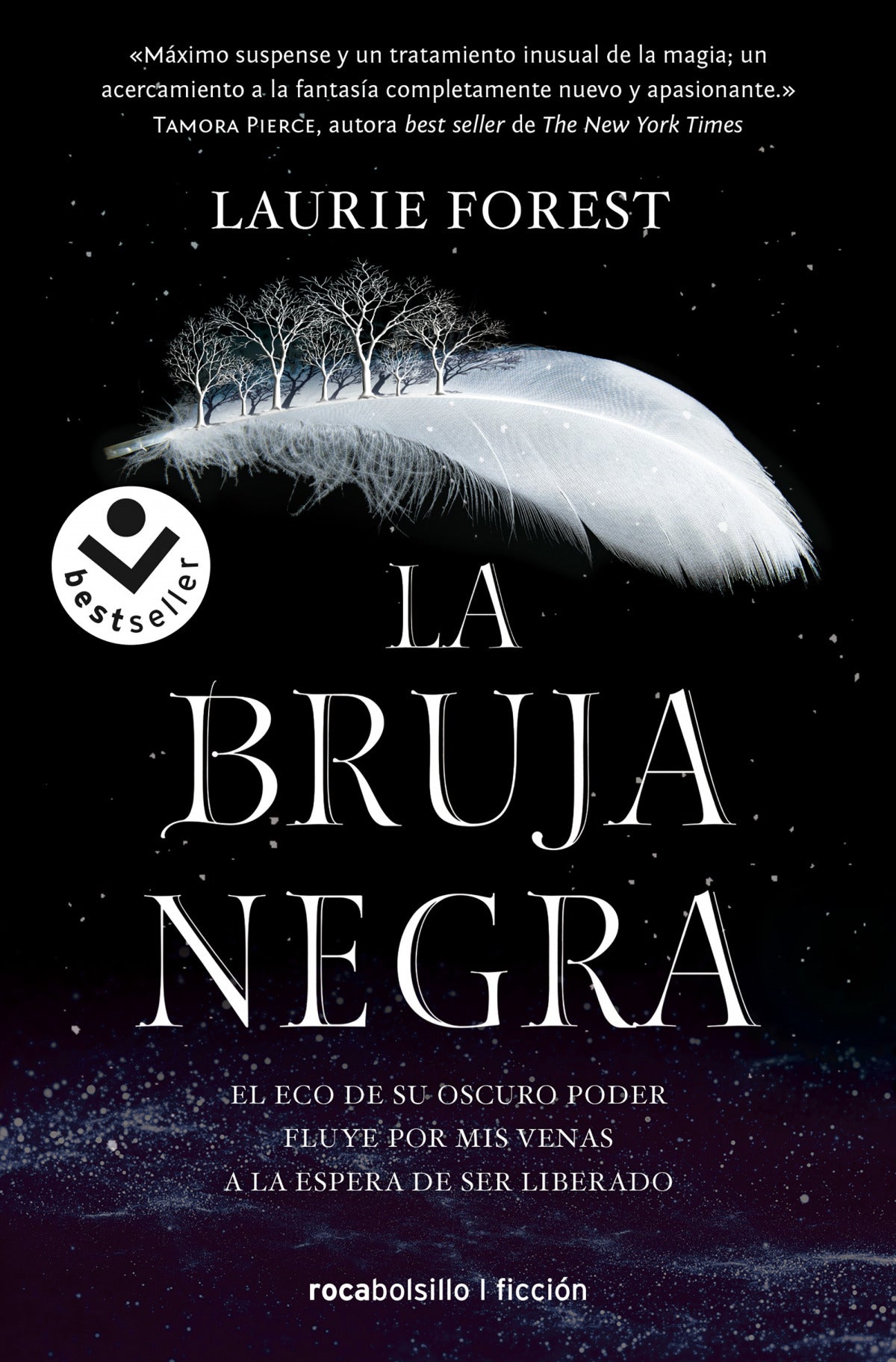 La bruja negra (Las crónicas de la bruja negra 1) | Forest, Laurie Books