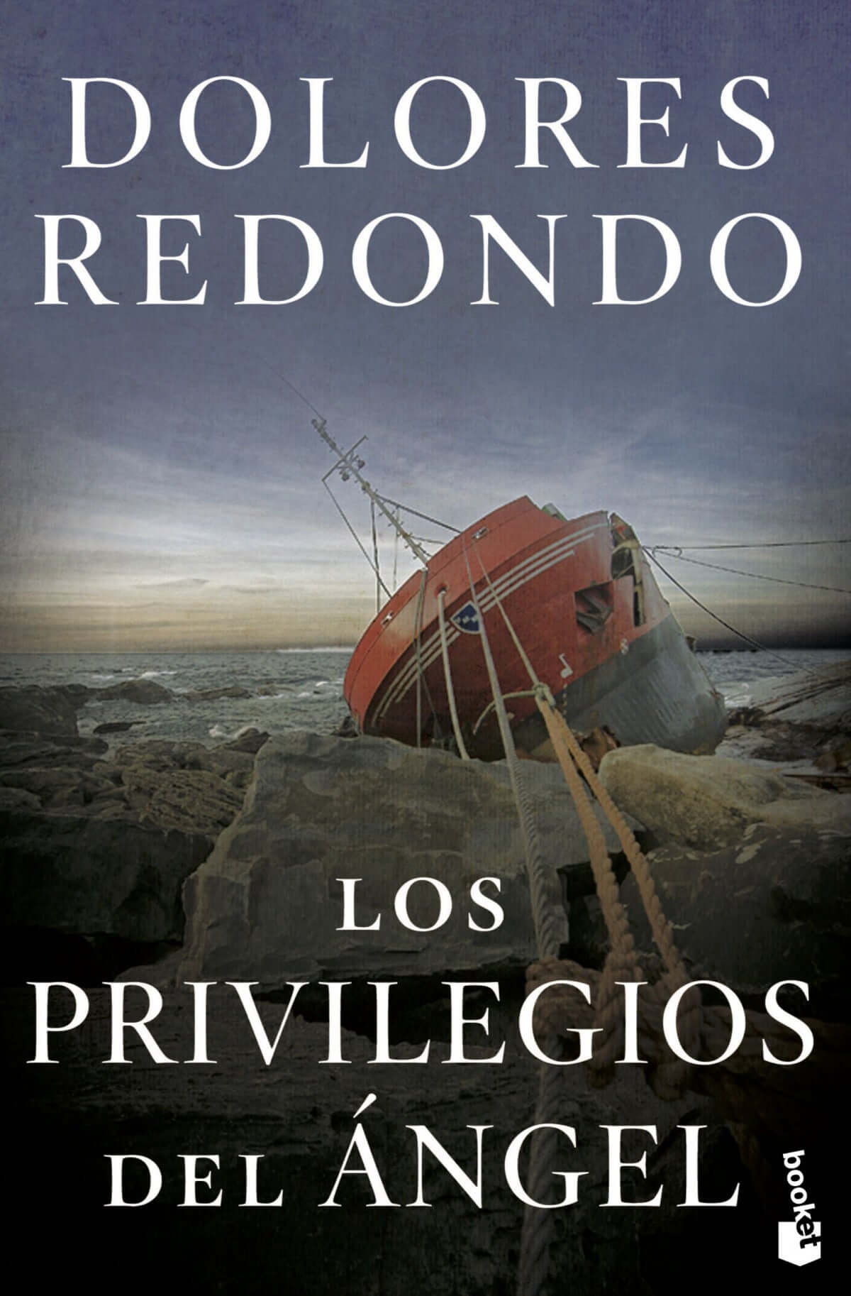 Los privilegios del ángel | Redondo, Dolores Books