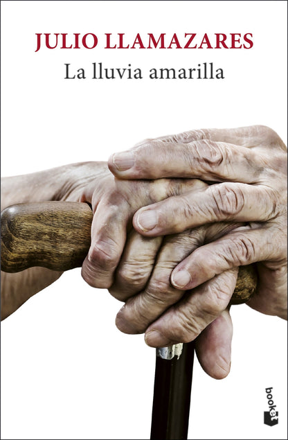 La lluvia amarilla | Llamazares, Julio Books