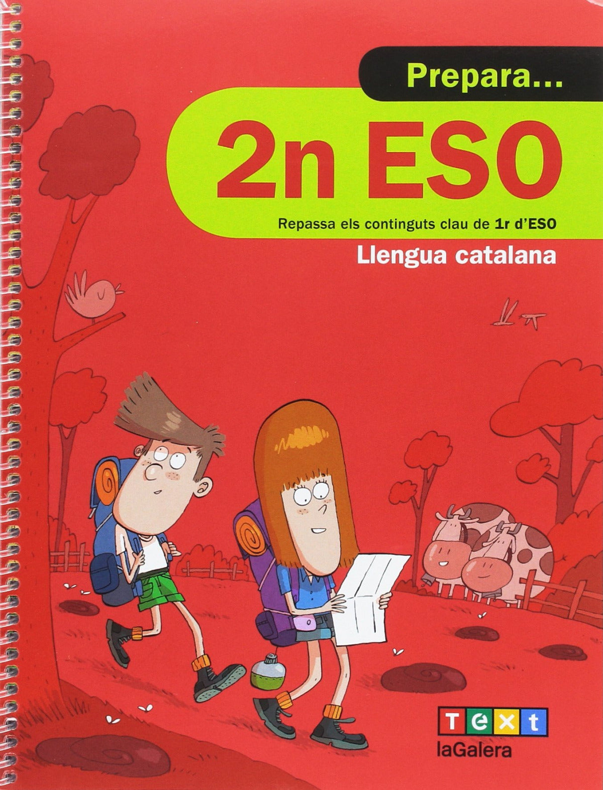 (CAT).(17).QUAD.PREPARA LLENGUA.(2N).ESO.(VACANCES) | VV.AA. Books