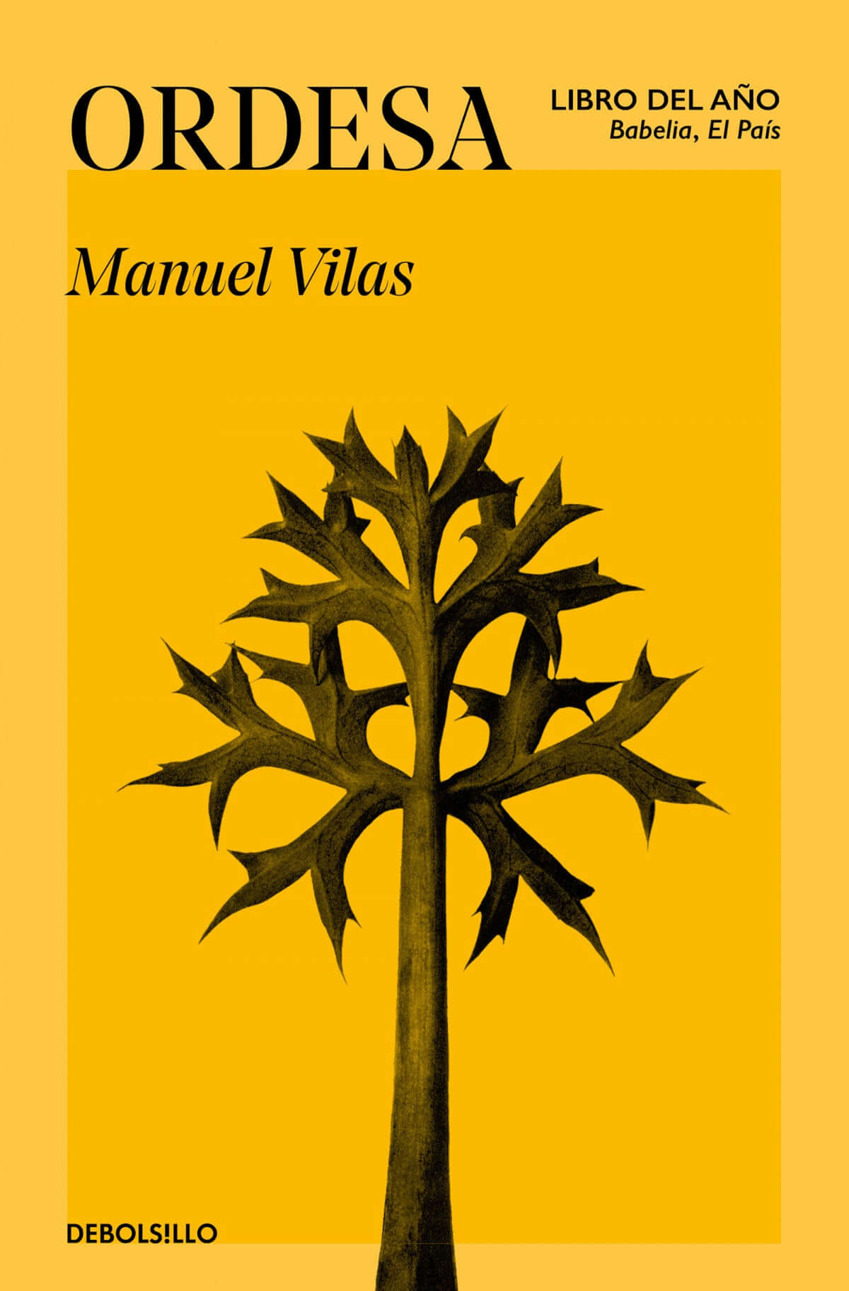 Ordesa | Vilas, Manuel Books