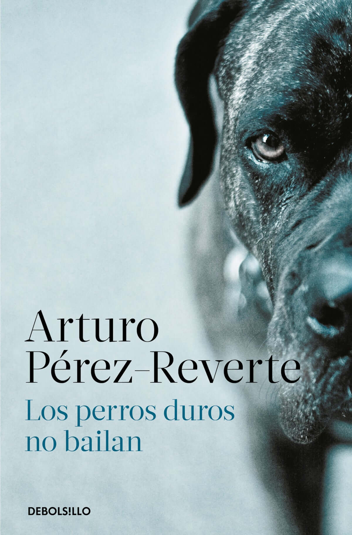 Los perros duros no bailan | Pérez-Reverte, Arturo Books