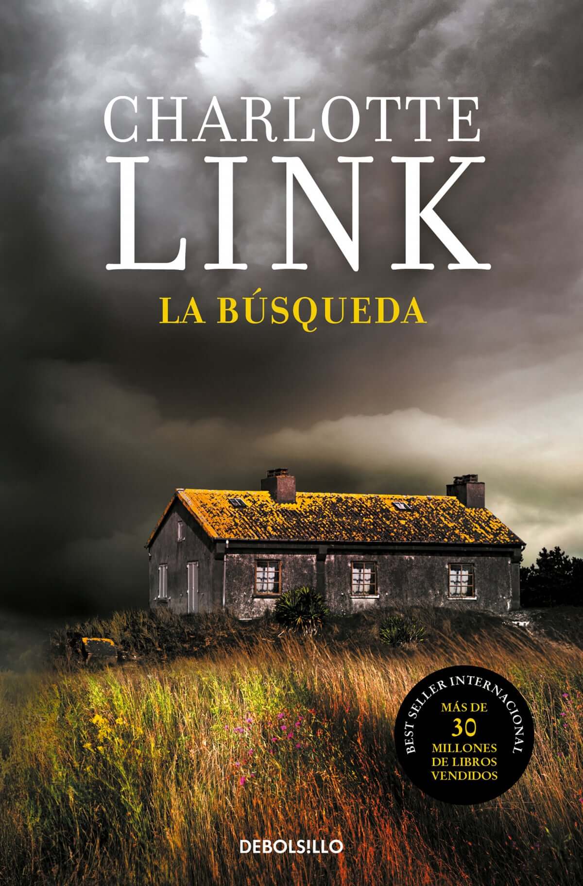 La búsqueda | Link, Charlotte Books