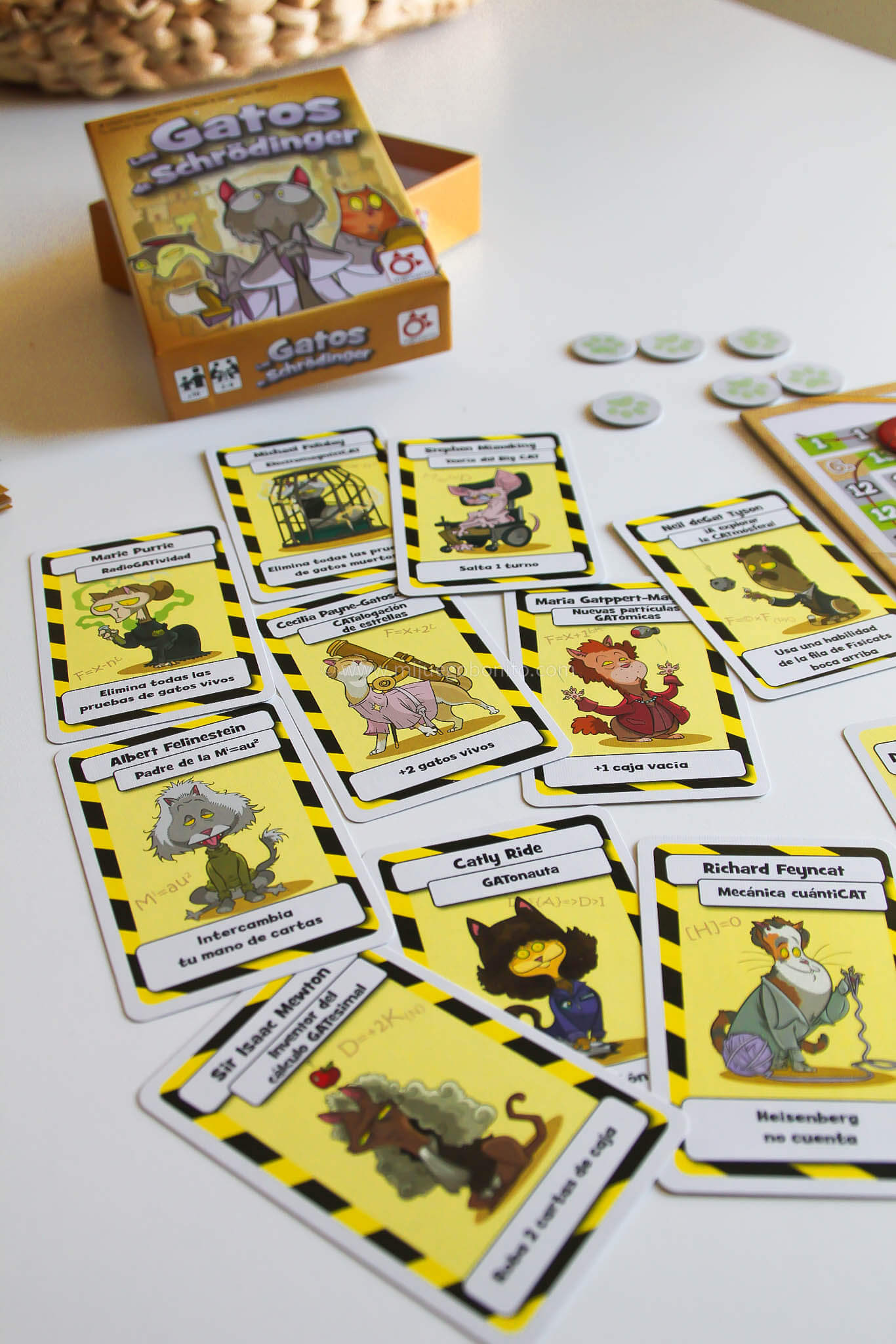 LOS GATOS DE SCHRÖDINGER - Juego de mesa - Mercurio Board Games