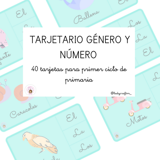 Tarjetario Género y Número | Ladycraft E-Books